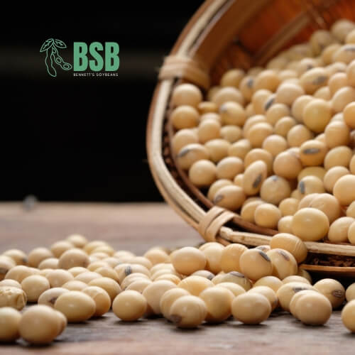 Bennetts soybeans